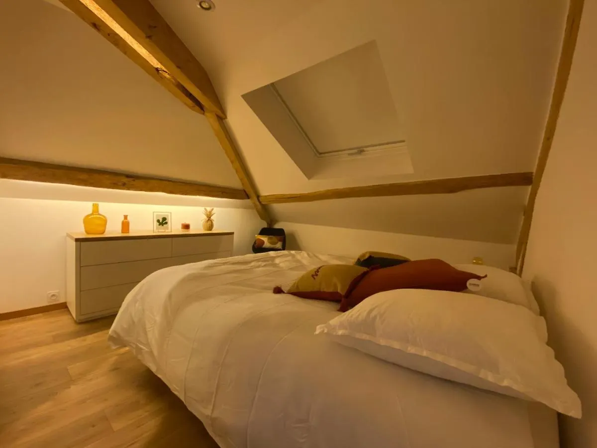 Appartement De Charme Au Pied Du Grand Colombier Culoz